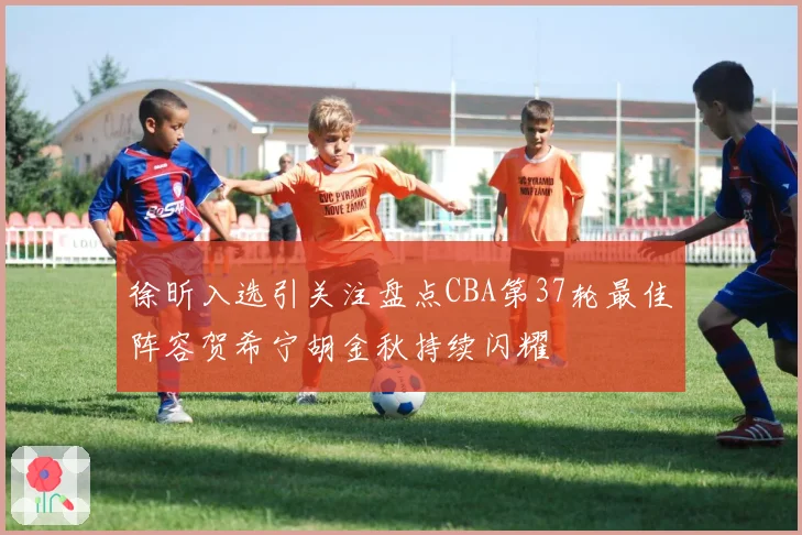 徐昕入选引关注盘点CBA第37轮最佳阵容贺希宁胡金秋持续闪耀